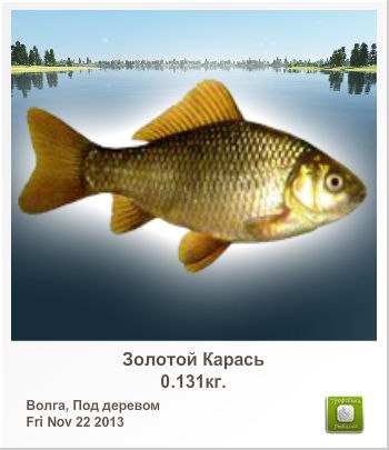 Василий Ковалёв | Кременчуг