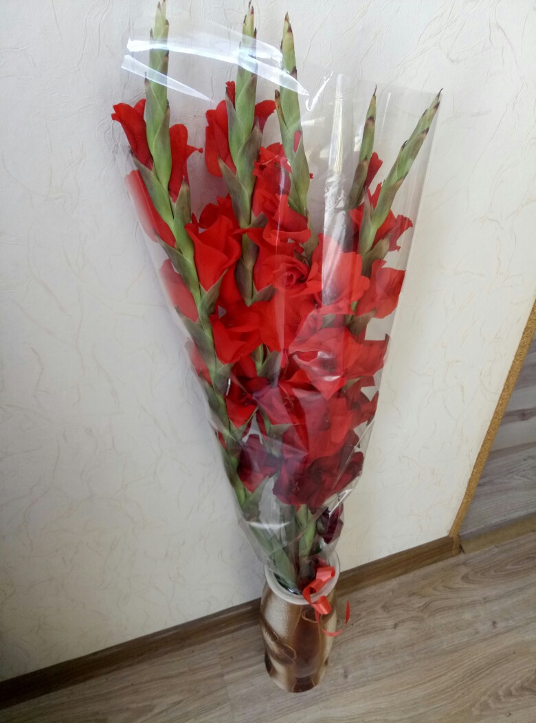 Галина Бойкова | Калининград