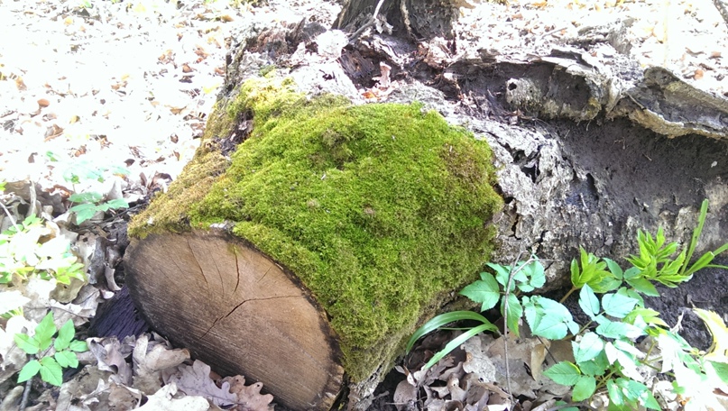 Артем Ченцов | Харьков