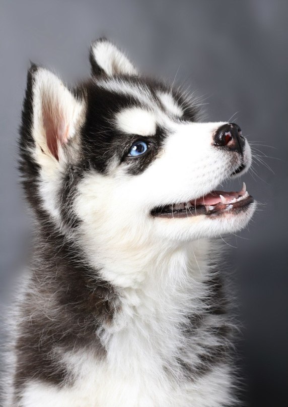 Луиза Иванова | Череповец