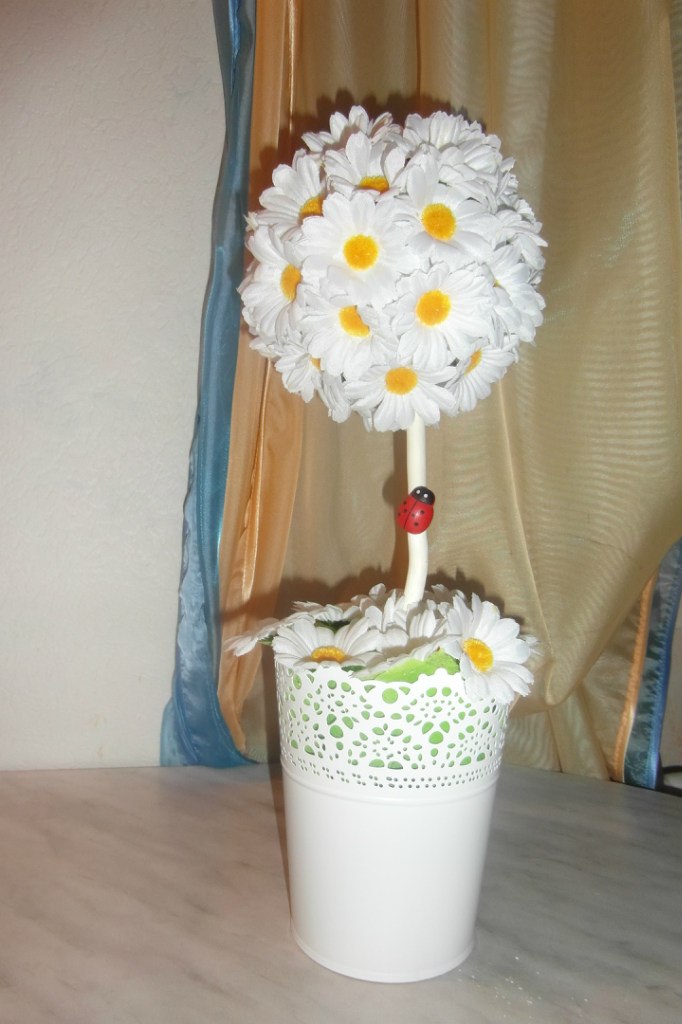 Оксана Прокопьева | Вологда