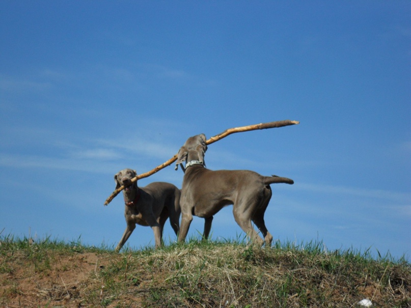 Анна Цыба | Санкт-Петербург