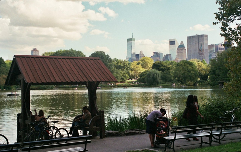 Екатерина Смирнова trifle | Москва