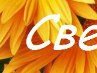 Светлана Климова | Донецк