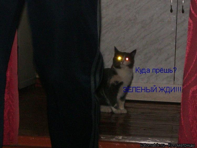 Наталия Петрова | Санкт-Петербург