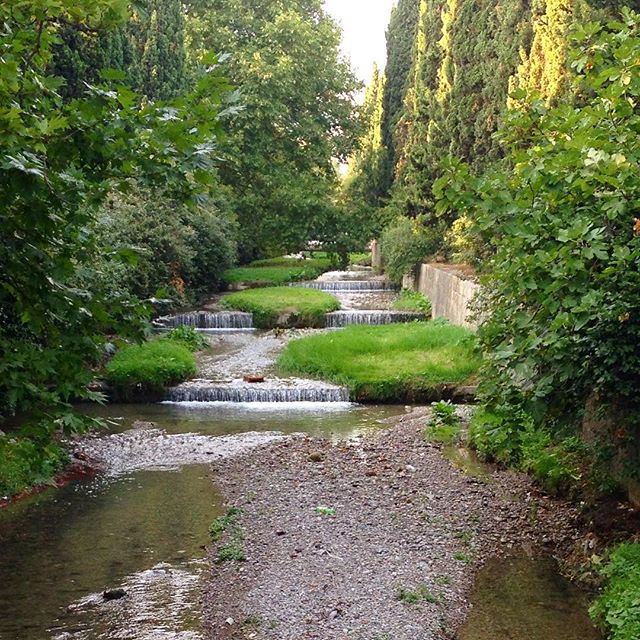 Мария Кононова | Новосибирск