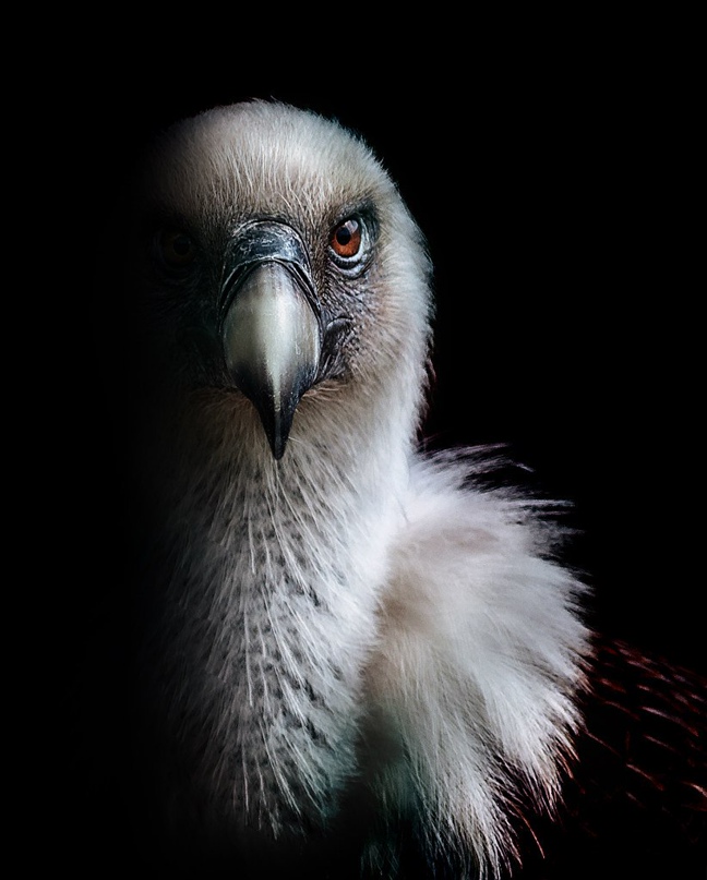 Олег Богданов | Челябинск