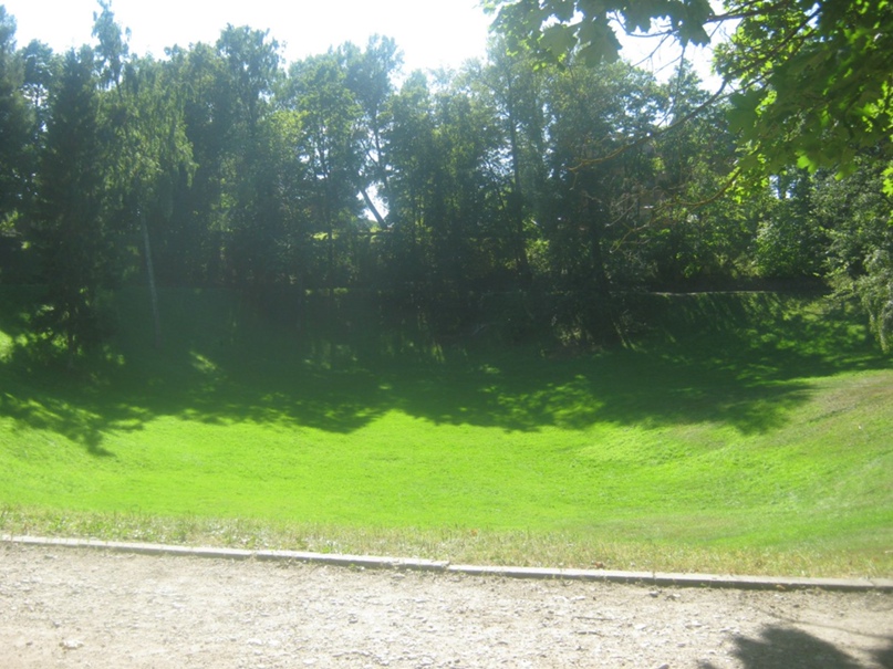 Артем Коваленко | Санкт-Петербург