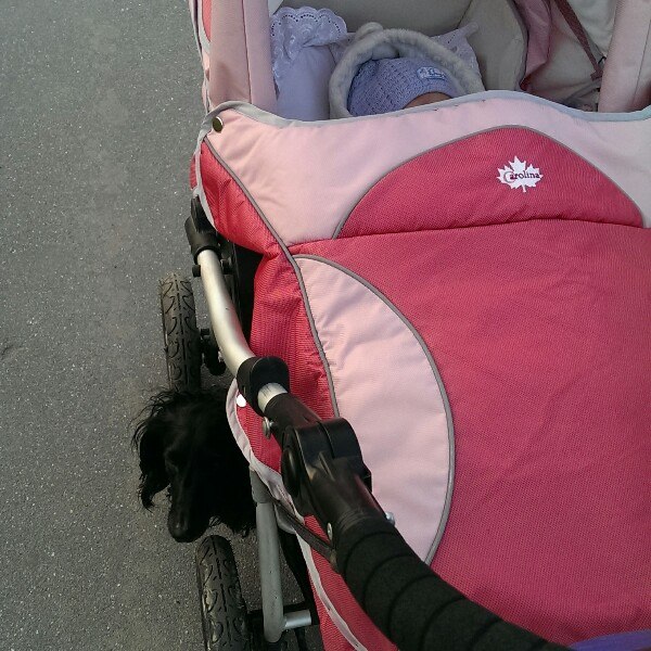 Ксения Еникеевы Денис, Дарья и Дмитрий | Санкт-Петербург