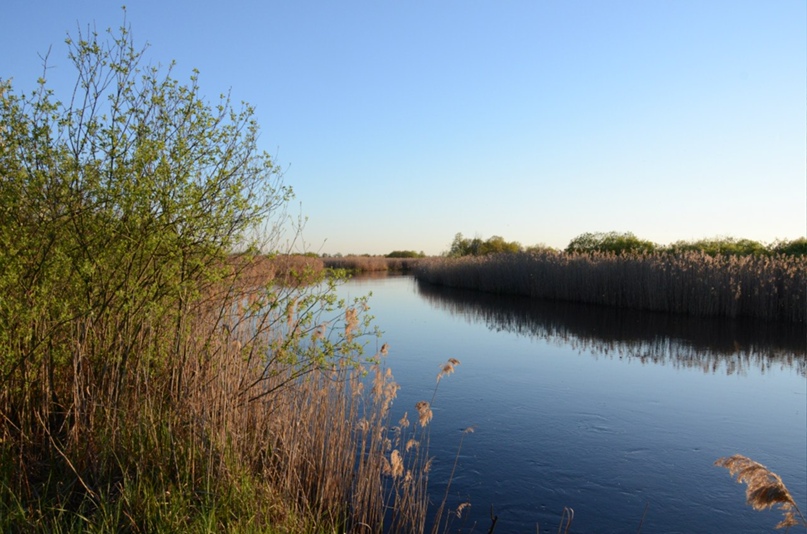 Елена Зиновьева | Санкт-Петербург