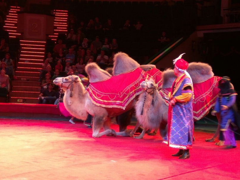 Виола Титова #sw# | Санкт-Петербург