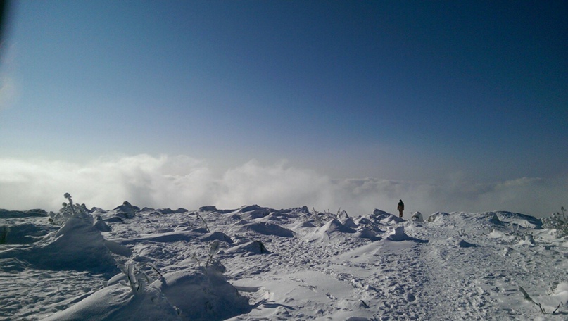 Алексей Девяткин | Новосибирск