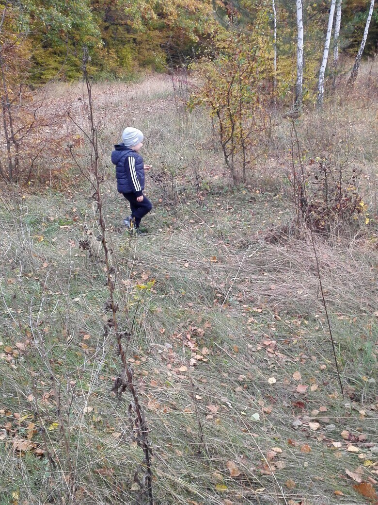 Вера Некрасова | Судак