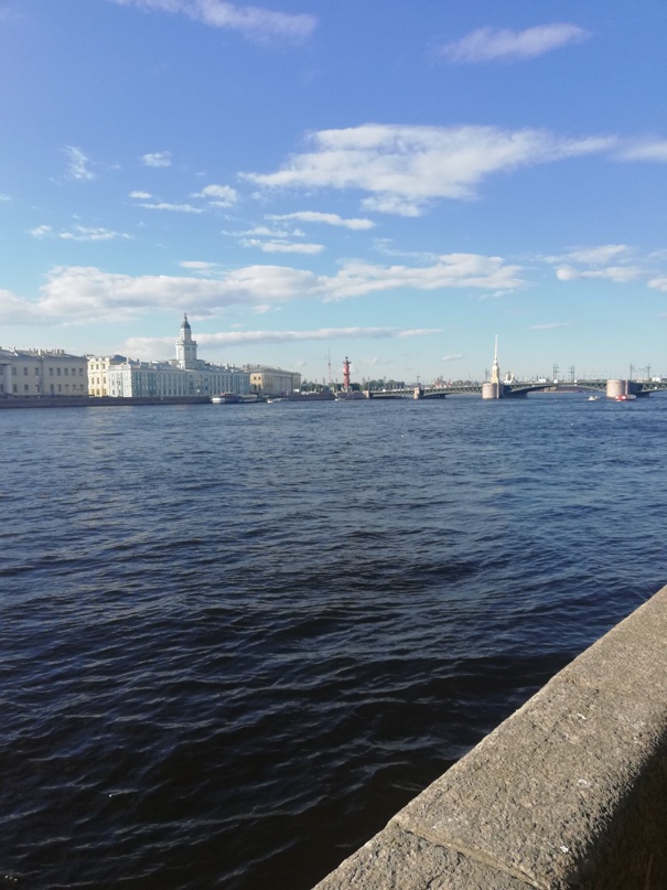 Александр Селезнев | Санкт-Петербург