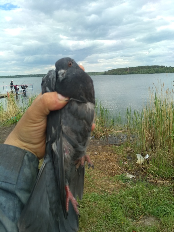 Юрий Герасимов | Челябинск