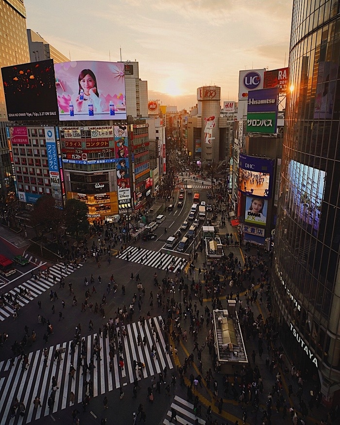Перекресток в токио знаменитый Перекресток в токио знаменитый