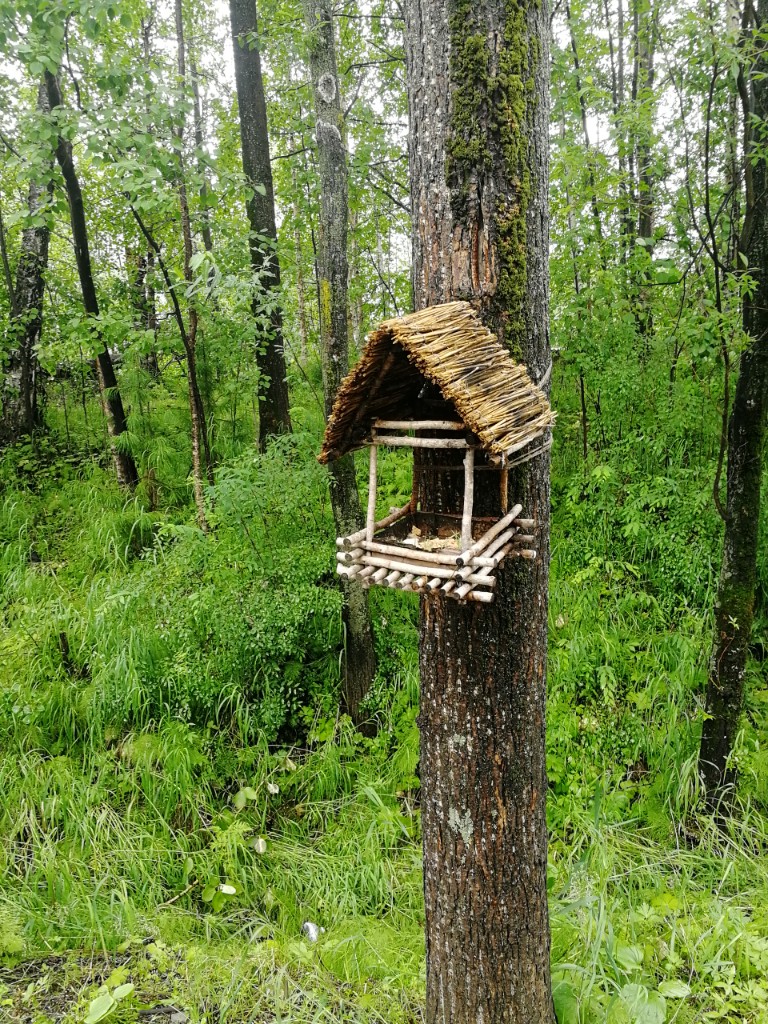 Евгений Головин | Омск