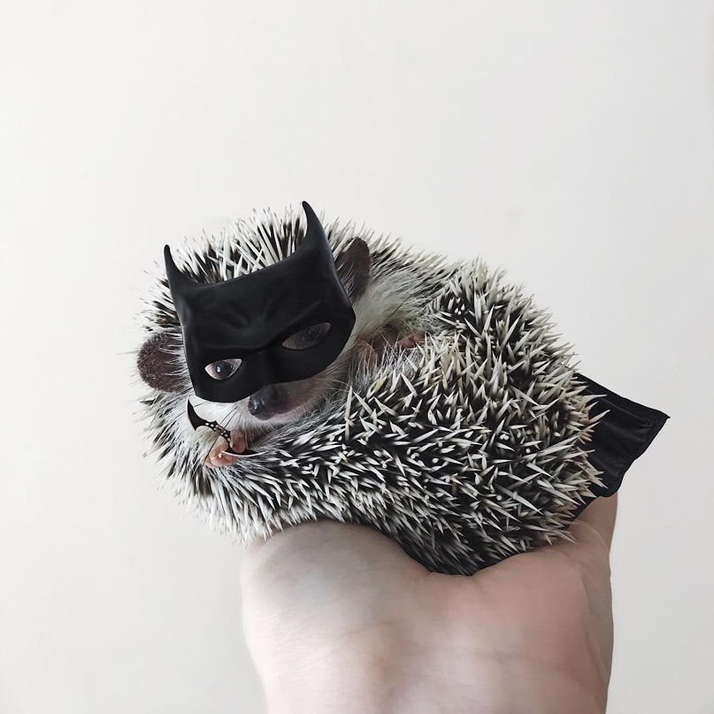 Наталья Крохина | Сатка