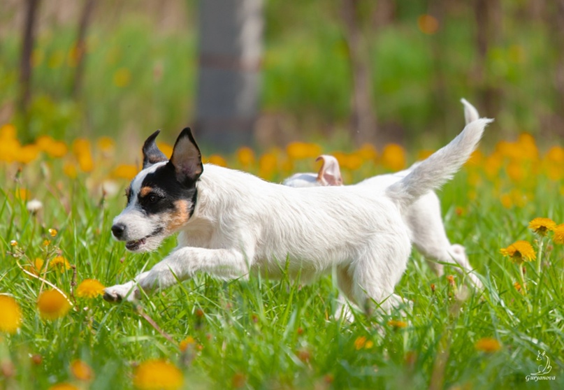 Наталья Невзорова | Великий Новгород