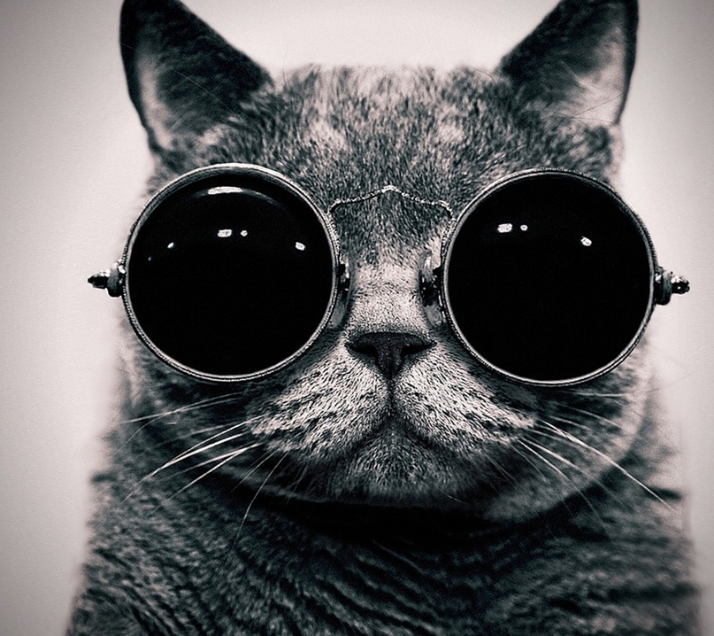 Елизавета Макеева | Брянск