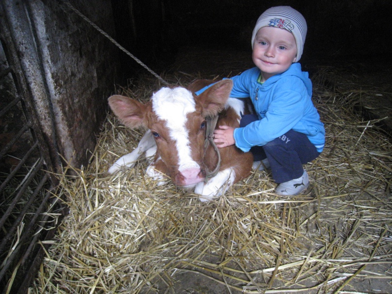 Александр Москалюк | Винница