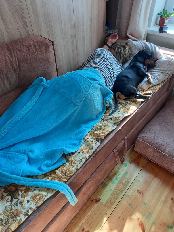 Надежда Тейдер | Гатчина