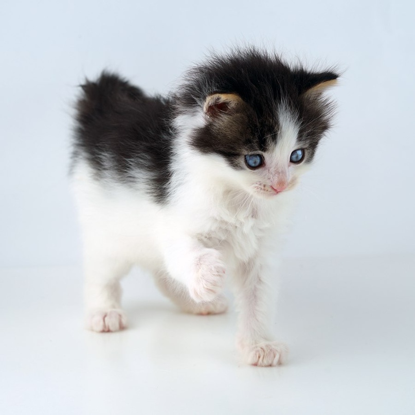 Катечка Залюбовская | Санкт-Петербург