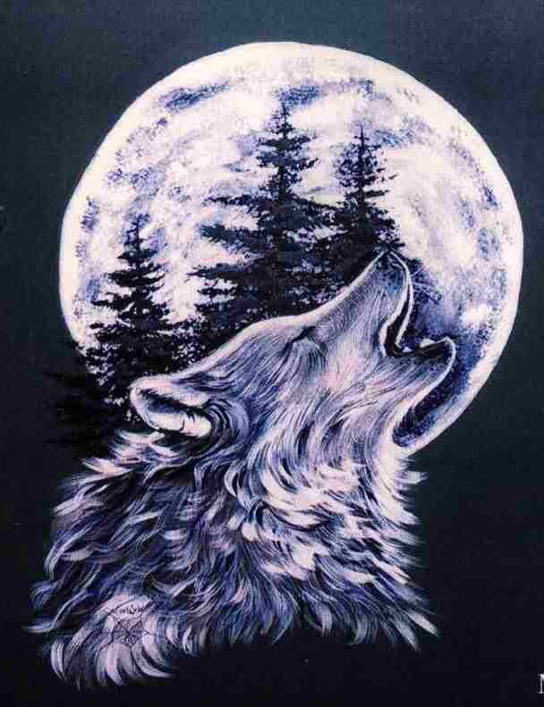 Александр Зуев | Новосибирск