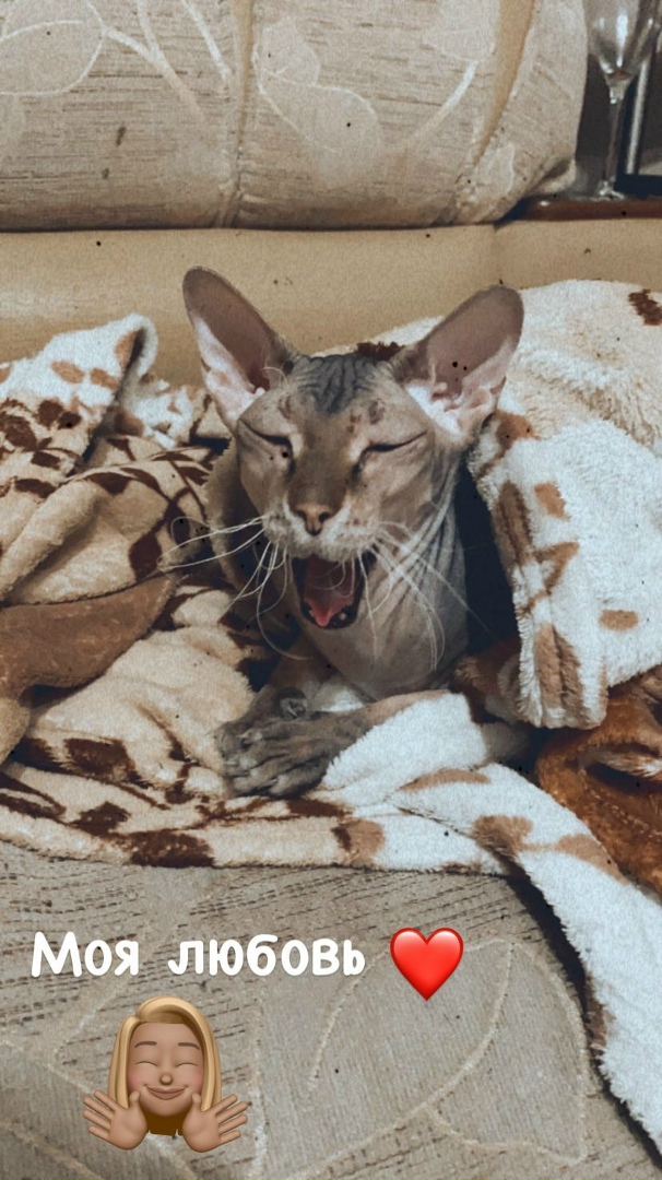 Екатерина Смирнова | Хабаровск