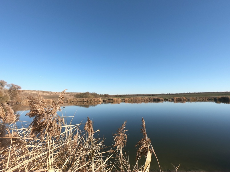 Глеб Орлов | Симферополь