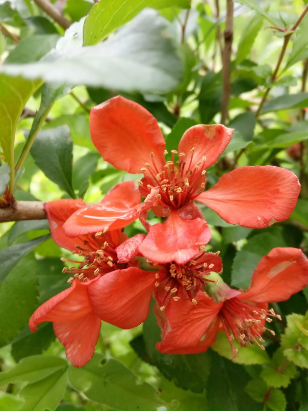 Елена Русских | Глазов