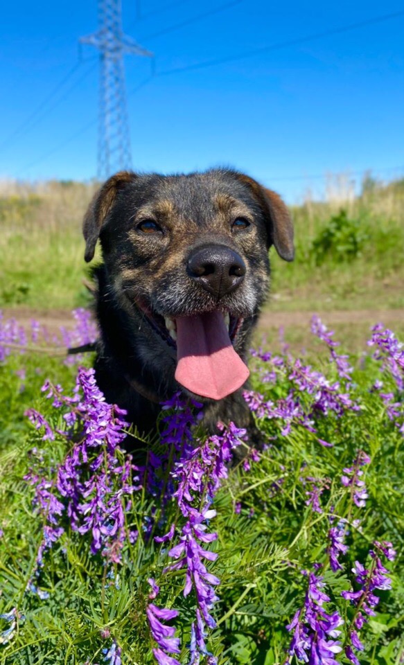 Мы очень-очень хотим домой!
Возьми меня,