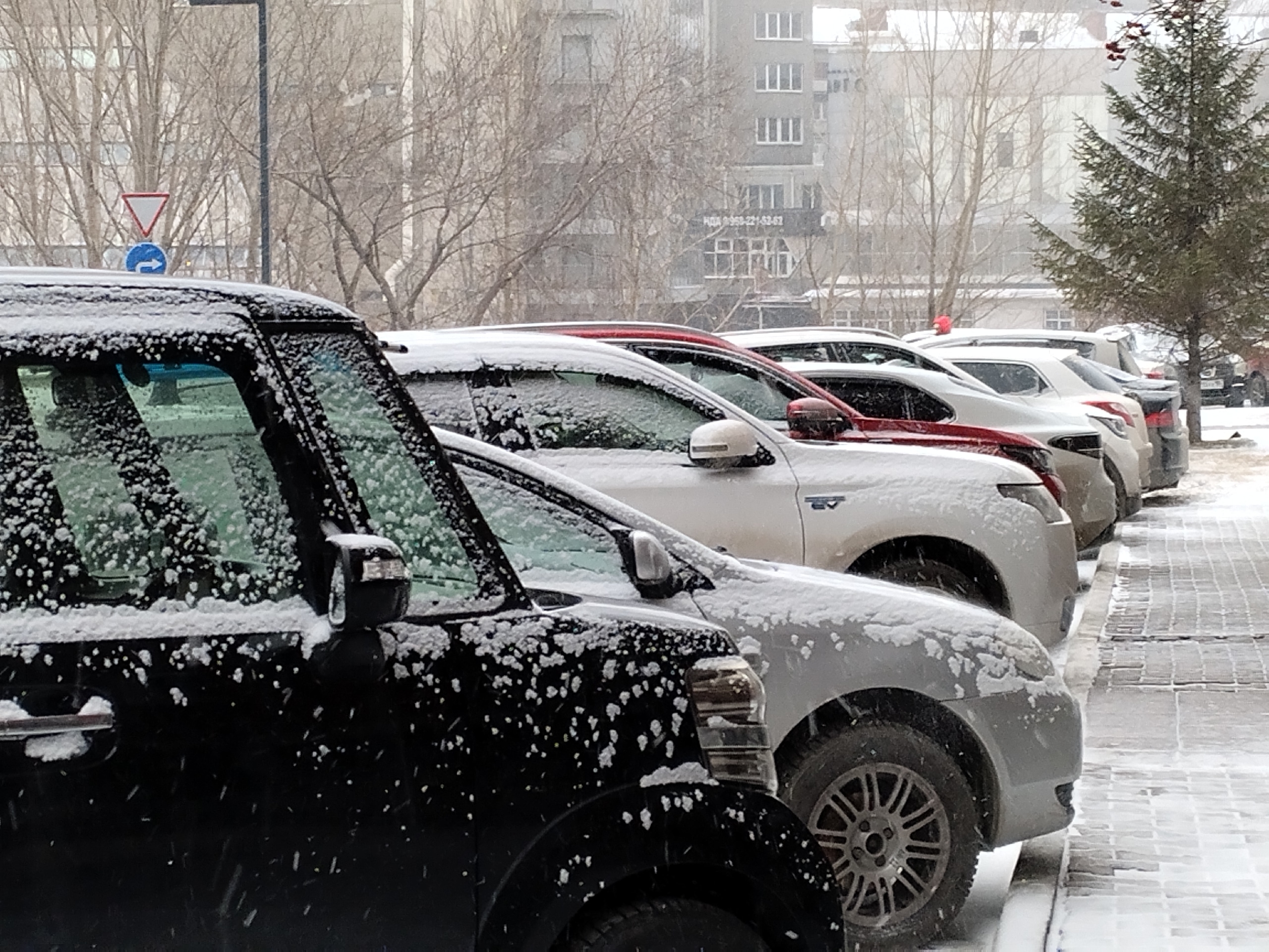 Фото В Новосибирске начался снегопад в Страстную пятницу 14 апреля 7 - Сиб.ФМ Фото В Новосибирске начался снегопад в Страстную пятницу 14 апреля 7