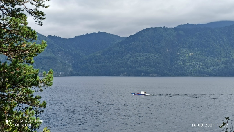 Илья Горожанкин | Новосибирск