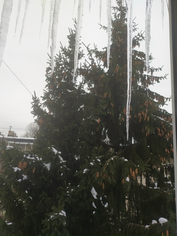 Марина Никитина | Ярославль