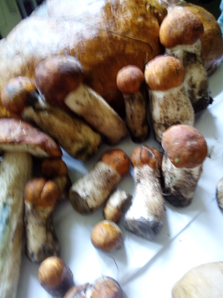 Наталья Бессонова | Нижний Тагил