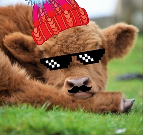 Станислав Александрович | Санкт-Петербург