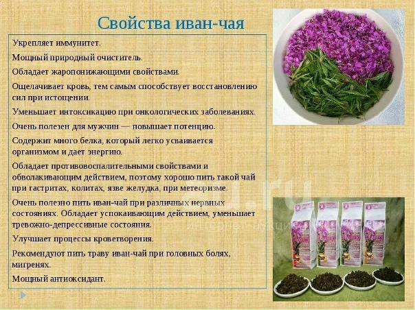 Презентация к методической разработке внеаудиторного мероприятия на тему: "Иван-