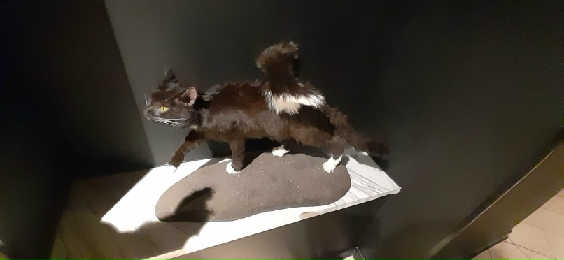 Галина Литвиненко | Екатеринбург