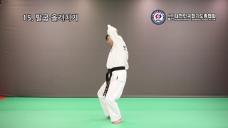 [HAPKIDO] (사)대한민국합기도총협회 2단승단심사(지정술기) [KOREA HAPKIDO GENERAL ASSOCIATION(KHGA)]