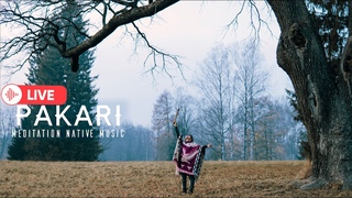 Pakari- Magic Meditation Music