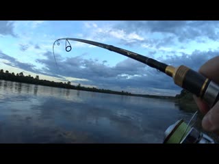 Whopper Plopper 90F. Один из лучших воблеров-поверхностников. Ловля щуки на мелководье #shorts