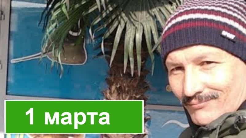 Анапа. Пляж Центральный. 1 марта 2019