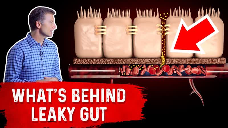 Whats Really Behind Leaky Gut On Leaky Gut Symptoms Vitamin C