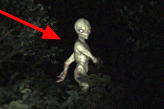 UFO Crash In Forest | Alien Discovery | Project Blue Book