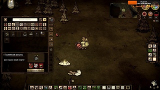 Don't Starve Together Stream крылья