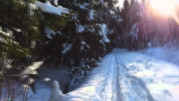 Bjorn Lynne Lunch time skiing Jan 20,
