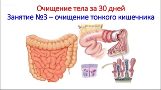 № 3 Полное очищение организма