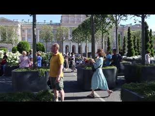 Роща в кадках на мосту перед Мариинским дворцом. День ВМФ  Воскресенье, 30 июля 2023 г.