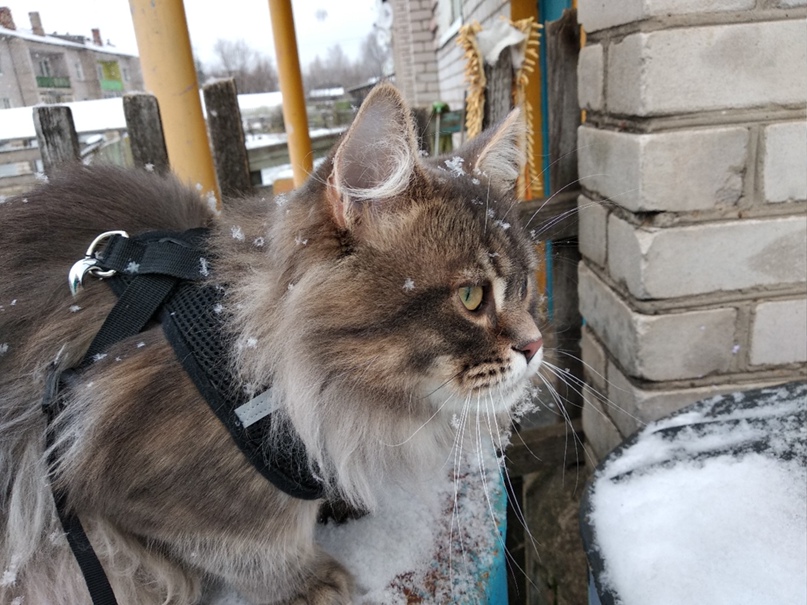 Людмила Трапезникова | Красноборск